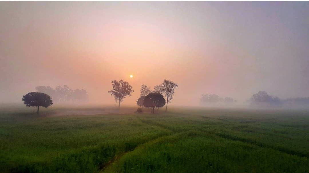 मौसम अपडेट: हल्की बारिश और बूंदाबांदी के बाद पश्चिमी विक्षोभ निकला आगे, मैदानी इलाकों में कल से दोबारा बढ़ेगी ठंड और धुंध