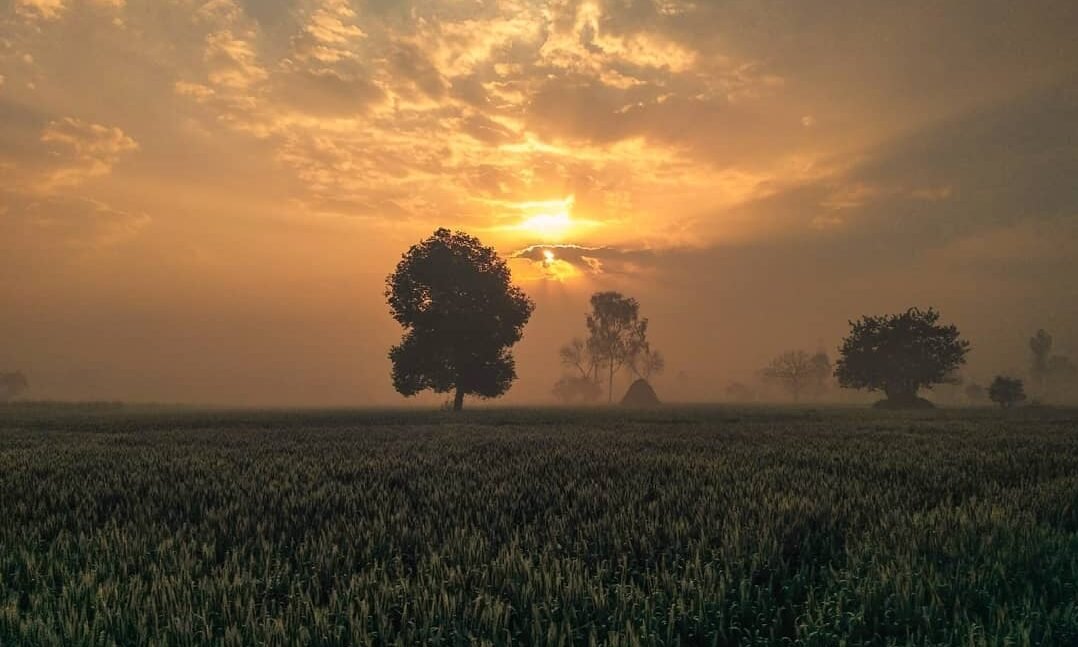 कोहरे और शीतलहर में फंसा उत्तर भारत, राजस्थान के जैसलमेर में पारा पहुँचा 2.3℃